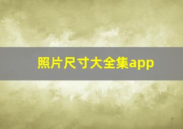 照片尺寸大全集app