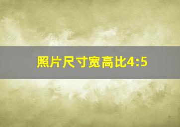 照片尺寸宽高比4:5