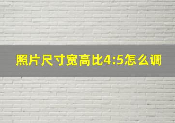 照片尺寸宽高比4:5怎么调