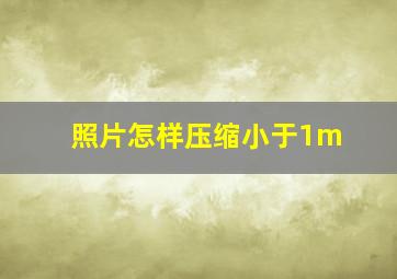 照片怎样压缩小于1m