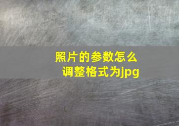 照片的参数怎么调整格式为jpg