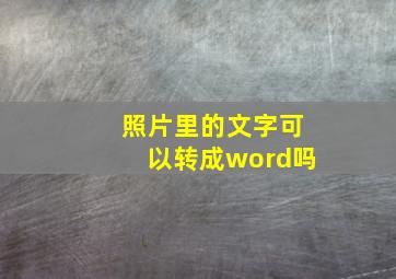 照片里的文字可以转成word吗