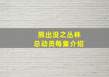 熊出没之丛林总动员每集介绍