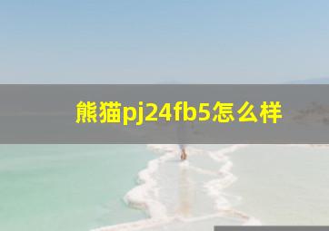 熊猫pj24fb5怎么样