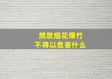 燃放烟花爆竹不得以危害什么