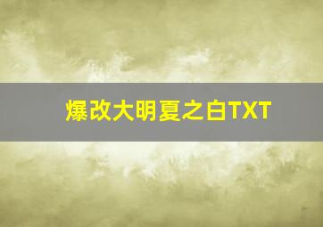 爆改大明夏之白TXT