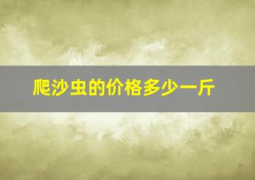 爬沙虫的价格多少一斤