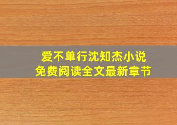 爱不单行沈知杰小说免费阅读全文最新章节