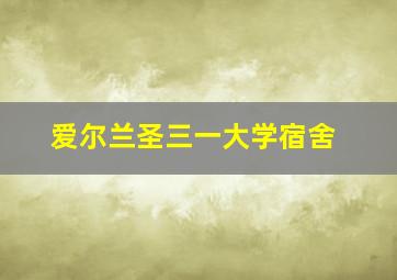 爱尔兰圣三一大学宿舍