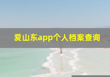 爱山东app个人档案查询