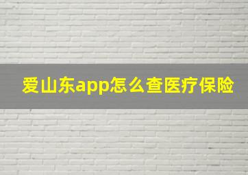 爱山东app怎么查医疗保险