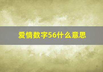 爱情数字56什么意思