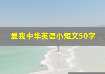 爱我中华英语小短文50字