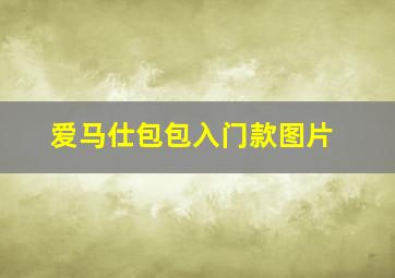 爱马仕包包入门款图片