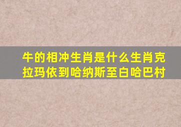 牛的相冲生肖是什么生肖克拉玛依到哈纳斯至白哈巴村