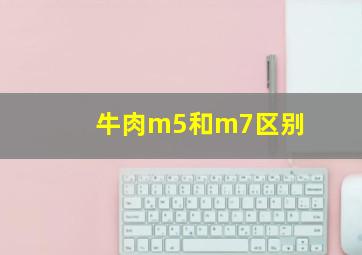 牛肉m5和m7区别