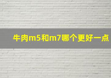 牛肉m5和m7哪个更好一点