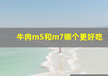 牛肉m5和m7哪个更好吃