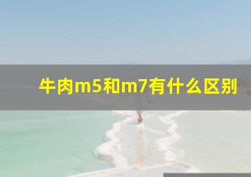 牛肉m5和m7有什么区别