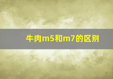 牛肉m5和m7的区别