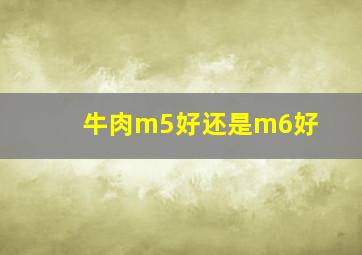 牛肉m5好还是m6好