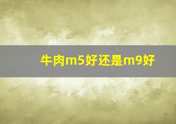 牛肉m5好还是m9好