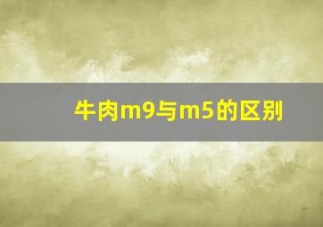 牛肉m9与m5的区别