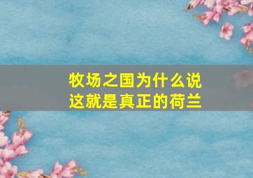 牧场之国为什么说这就是真正的荷兰