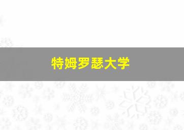 特姆罗瑟大学