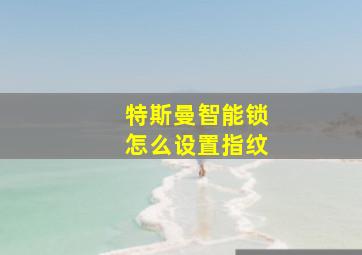 特斯曼智能锁怎么设置指纹