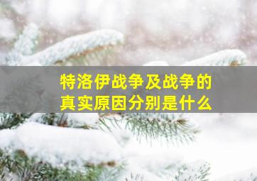 特洛伊战争及战争的真实原因分别是什么