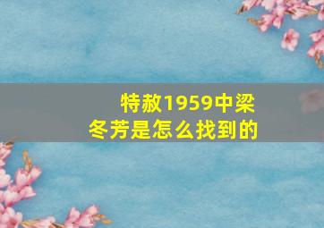 特赦1959中梁冬芳是怎么找到的