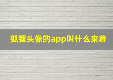 狐狸头像的app叫什么来着