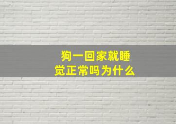 狗一回家就睡觉正常吗为什么