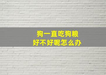 狗一直吃狗粮好不好呢怎么办