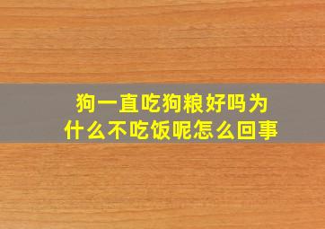 狗一直吃狗粮好吗为什么不吃饭呢怎么回事