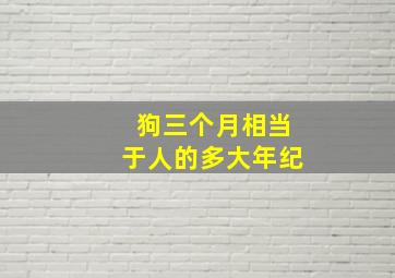 狗三个月相当于人的多大年纪