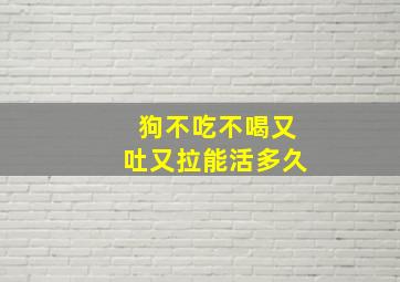 狗不吃不喝又吐又拉能活多久