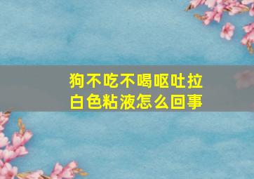 狗不吃不喝呕吐拉白色粘液怎么回事