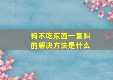 狗不吃东西一直叫的解决方法是什么