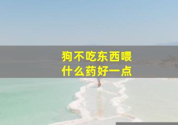 狗不吃东西喂什么药好一点