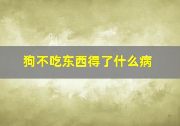 狗不吃东西得了什么病