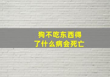 狗不吃东西得了什么病会死亡