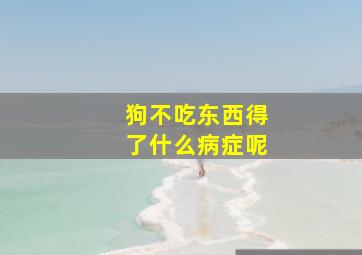 狗不吃东西得了什么病症呢