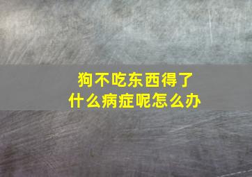 狗不吃东西得了什么病症呢怎么办