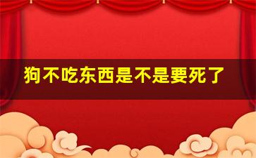 狗不吃东西是不是要死了