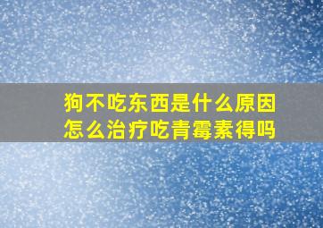 狗不吃东西是什么原因怎么治疗吃青霉素得吗