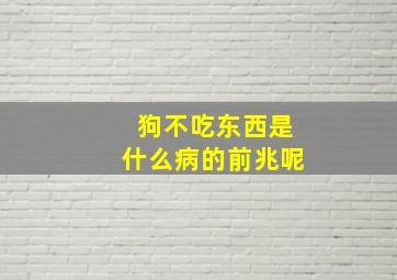 狗不吃东西是什么病的前兆呢