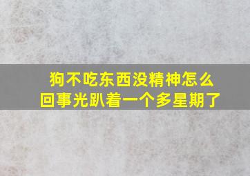 狗不吃东西没精神怎么回事光趴着一个多星期了