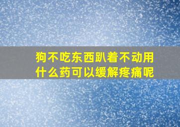 狗不吃东西趴着不动用什么药可以缓解疼痛呢